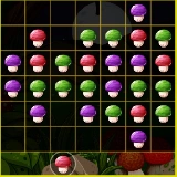 Mushroom Puzzles